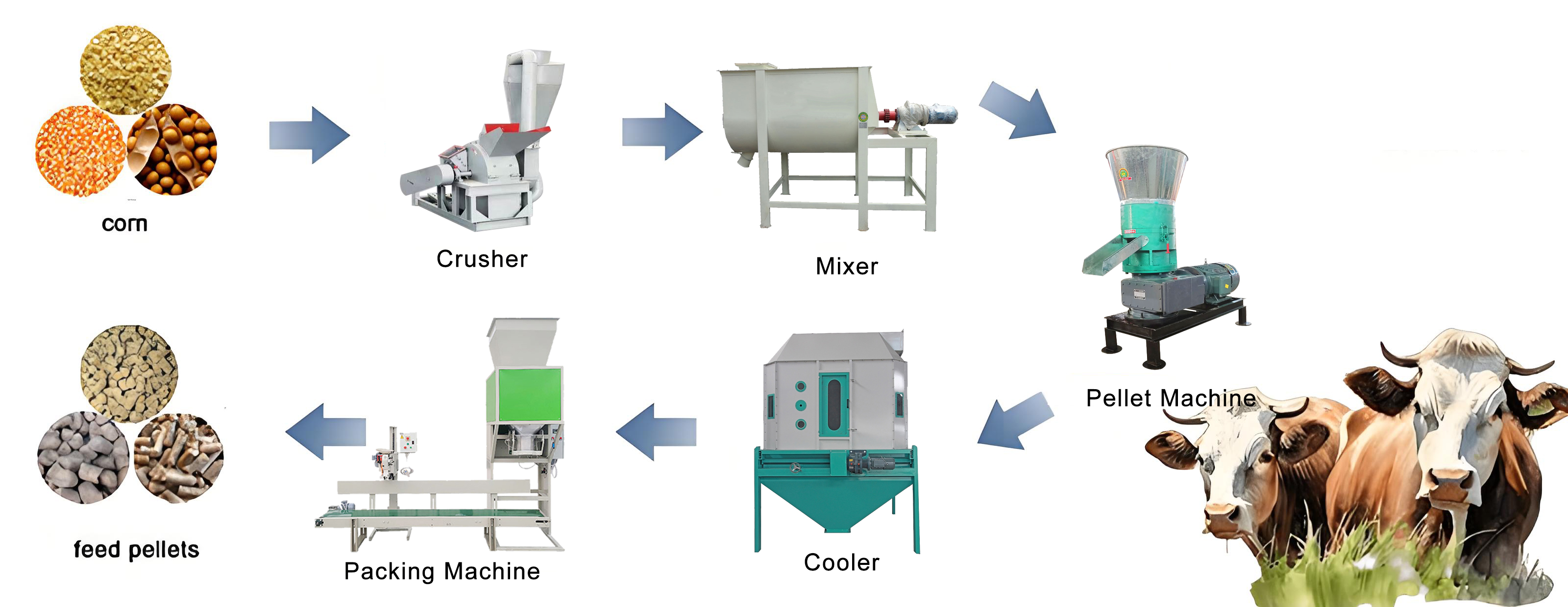 feed pellet production line