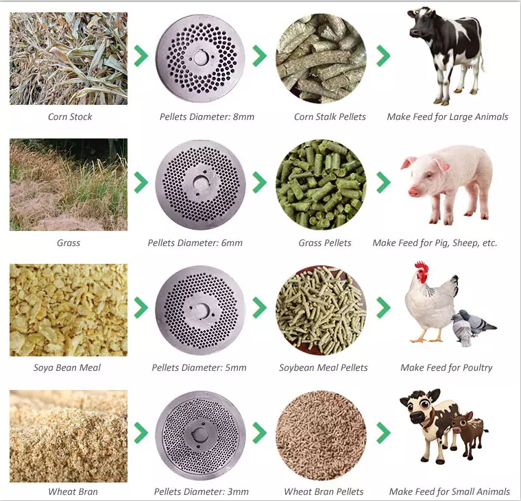 feed pellet